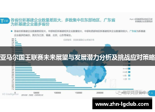 亚马尔国王联赛未来展望与发展潜力分析及挑战应对策略