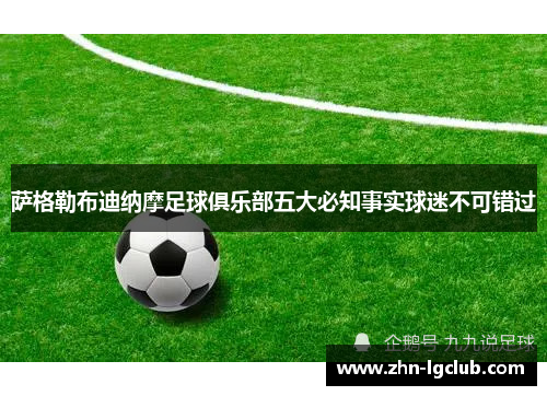 萨格勒布迪纳摩足球俱乐部五大必知事实球迷不可错过