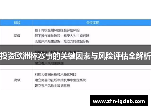 投资欧洲杯赛事的关键因素与风险评估全解析